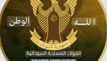 حظر مشاركة العسكريين في النشر أو التعليق على الشأن العام عبر وسائل التواصل الاجتماعي