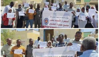 بسبب إضراب أساتذة الجامعات… الطلاب يدفعون الثمن مرتين: مرة بالحرب، وأخرى بالإضراب.