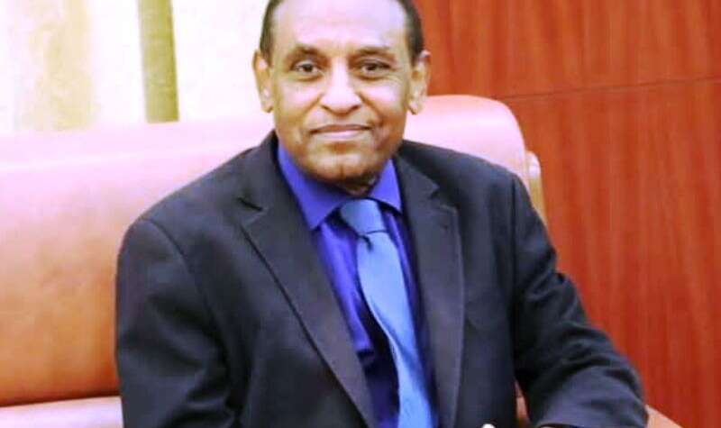 د. كامل ادريس : لا صحة لما يتردد حول اعفاء الموظفين العاملين بالدولة
