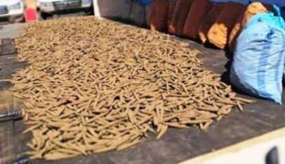 ودمدني : جلسة لرفع الوعي بمخاطر المخدرات وآثارها السالبة على الشباب والأسرة والمجتمع