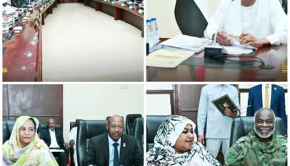 قرار من مجلس الوزراء بدخول الحكومة في إستيراد المشتقات البترولية قرار من مجلس الوزراء بدخول الحكومة في إستيراد المشتقات البترولية
