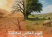 المبيدات والتصحر هل هنالك ثمة علاقة؟