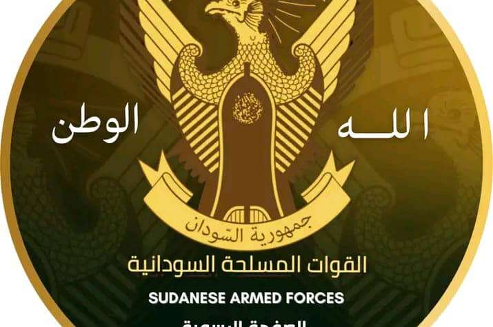 الجيش يحقق تقدما في المحاور كافة الجيش يحقق تقدما في المحاور كافة