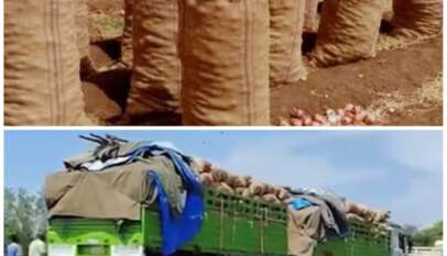 كميات من البصل السوداني في طريقها الى أثيوبيا ! كميات من البصل السوداني في طريقها الى أثيوبيا !