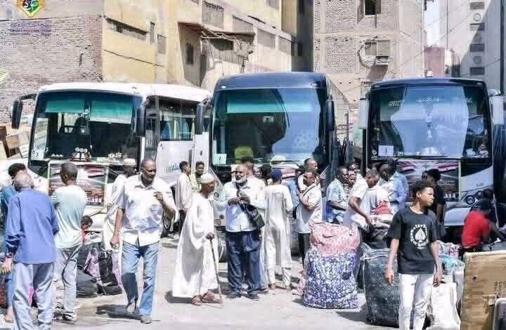 لجنة الأمل : رحلات العودة متواصلة من مصر الى السودان لجنة الأمل : رحلات العودة متواصلة من مصر الى السودان